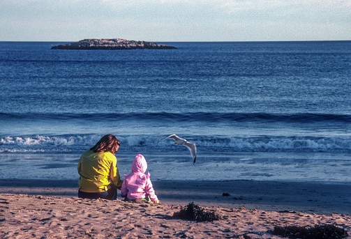 Mother and child sitting on the beach watching the waves and seagulls.